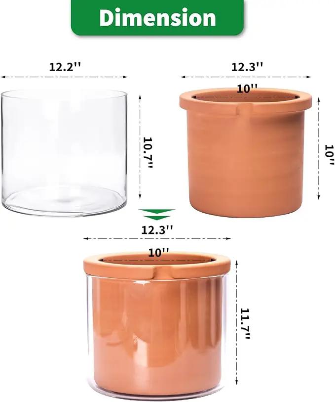 Phoenix Vine 10 Inch Self Watering Planter, White Terracotta Pot for Plants, Indoor Cylinder Terra Cotta Pot with Glass Vase by GreenHaven Gardens