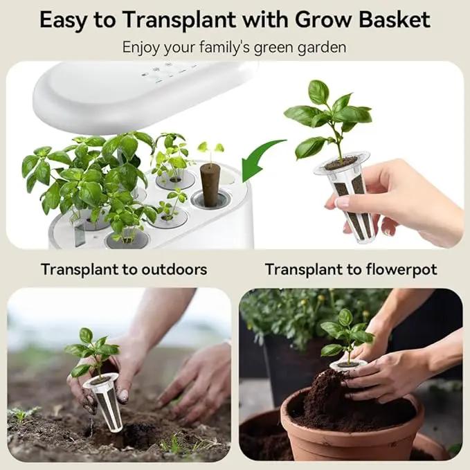 inbloom Gourmet Herb Seed Pod Kit for AeroGarden, iDoo, Ahopegarden with Basil, Parsley, Cilantro, Chrysanthemum, Pak Choi, Crystalline Ice Plant, Onion, Hydroponics Growing System Supply (12-Pod) by GreenHaven Gardens
