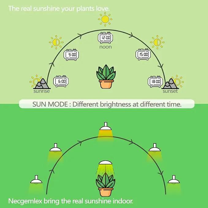 Smart LED Grow Light Bulbs with Remote Controller, Sun Mode, Built-in Daily Auto Timer, 4500K, A21/A70 E26/E27 9W Dimmable Full Spectrum Grow Bulbs for Indoor Plants, 2 Pack by GreenHaven Gardens