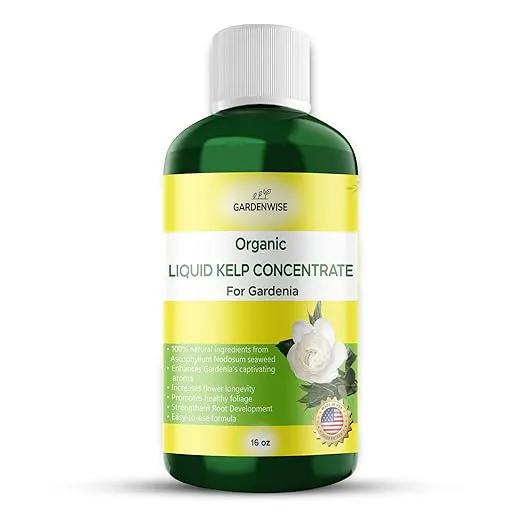 Organic Premium Kelp Seaweed Concentrate for Gardenia - Liquid Fertilizer - Liquid Plant Food - Nutrient-Rich Soil Enhancer - Natural Plant Food for Gardenia Plant (16 OZ), OLKC-14 by GreenHaven Gardens