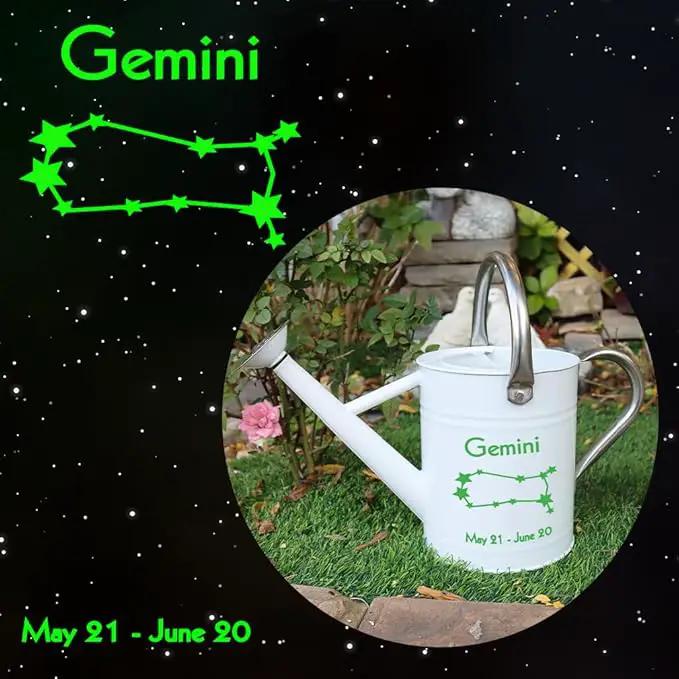 Metal Watering Can for Outdoor and Indoor Plants, Watering Can Decor, 1 Gallon (Gemini) by GreenHaven Gardens