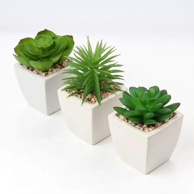 Hollyone Succulents Plants Artificial 3Pcs Small Fake Succulents in Pots Faux Plastic Potted Plants with White Ceramic Pot for Home Decor Classroom Office Bathroom Shelf Indoor & Outdoor Decorations by GreenHaven Gardens