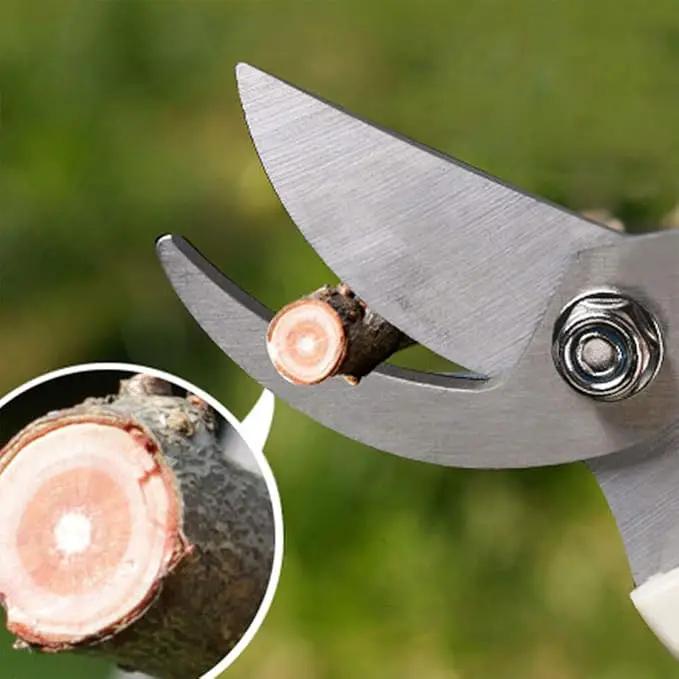 BUGUI Bypass Garden Pruning Shears - 2 Pack, Ultra Lightweight Hand Pruners Make Cut Smooth & Clean, Professional Gardening Scissors for Cutting Live Flowers, Plants, Light Branches by GreenHaven Gardens
