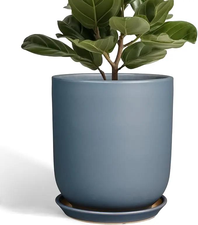 10 Inch Plant Pot - Ceramic Pot for Indoor Plants Outdoor Planter Large Flower Pot with Drainage Hole and Saucer Cylinder Gray by GreenHaven Gardens