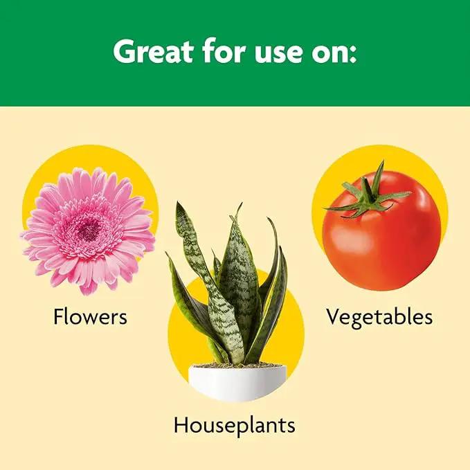 Miracle-Gro Shake 'N Feed All Purpose Plant Food, For In-Ground and Container Plants, Feeds for up to 3 Months, 1 lb. by GreenHaven Gardens