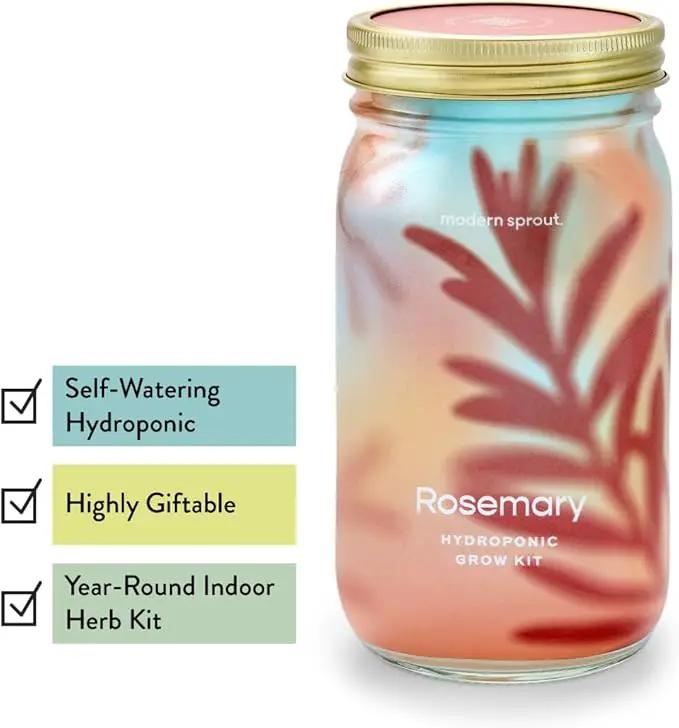 Modern Sprout Mason Garden Jar - Self-Watering Hydroponics Growing System Kit with Organic Herb Seeds - Jar Planter for Indoor Herb Garden - Seed Starter Kit - Home Decor & Gifting - Basil+Rosemary by GreenHaven Gardens