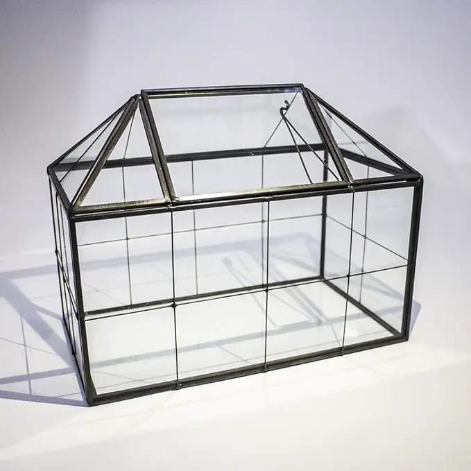 Ferrisland Glass Terrarium Greenhouse House Shape Display Box Planter for Succulents Plant Terrarium Container Mordern Tabletop Decor Gardern DIY Kit by GreenHaven Gardens