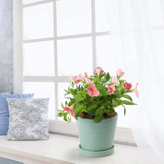 Plant Pots Indoor –5 in Ceramic Flower Pot with Drainage Hole and Ceramic Tray - Gardening Home Desktop Office Windowsill Decoration Gift, Set of 4 - Plants Not Included(Mint Green) by GreenHaven Gardens