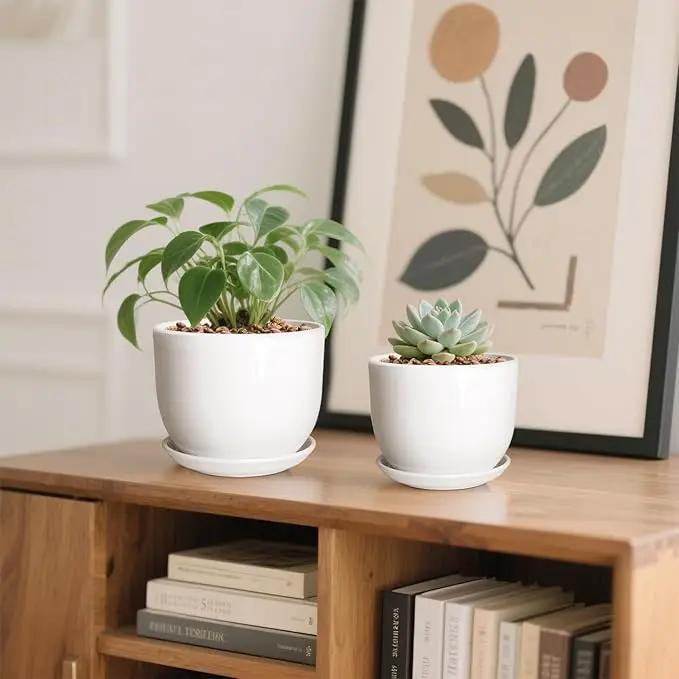 6.7 + 5.5 Inch Plant Pot, Ceramic Planter with Drainage and Saucer, Ceramic Pots for Plants, Indoor Plant pots,Succulent Pot Orchid Pots(Smooth White,Plant Pot Only) by GreenHaven Gardens
