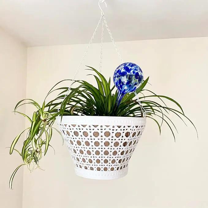 Evelots Plant Watering Globes/Bulbs (2 Pack) - Extra Long 14 Inches - Great for Big Plants - Hand Blown Glass - Automatic Water Irrigation System - Use Indoor/Outdoor - Leave Your Home Worry Free by GreenHaven Gardens