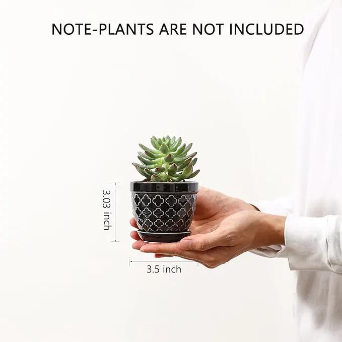 Sureasy Succulent Pots, 3.5 Inch Flower Pots for Indoor Plants, Small Plant Pots with Saucer & Drainage, Decorative Ceramic Planters for Succulent, Cactus, Set of 4, Black by GreenHaven Gardens