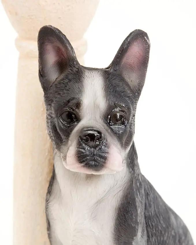 Bits and Pieces - Solar Dog Lantern-Solar Powered Garden Lantern - Resin Dog Sculpture with LED Light (Boston Terrier) by GreenHaven Gardens