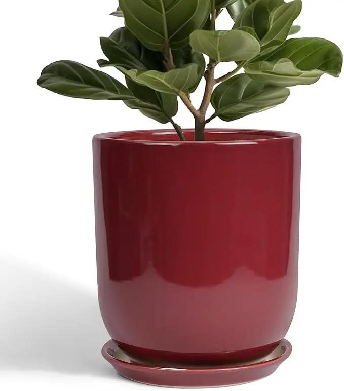 Ceramic Planter for Plants - 10 Inch Plant Pot Indoor with Drainage Hole and Saucer Modern Large Outdoor Planter Flower Pot for Home Decor Red by GreenHaven Gardens