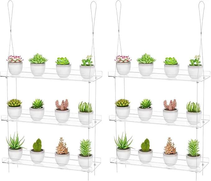 Clear Hanging Window Plant Shelves,2-Pack 3-Tier,Indoor Windows Wall Hanging Plant Stand Flower Display,Flower Pot Organizer Storage for Window Grow Herbs,Microgreens,Succulents,Flower,16-Inch by GreenHaven Gardens