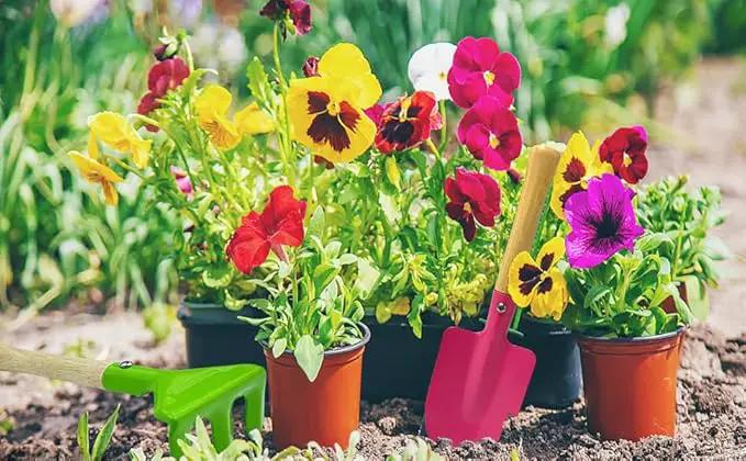 IELEK Gardening Tools Trowel, Rake, Shovel, Spoon, Fork for Gardening Tools Best Outdoor Easter Gift by GreenHaven Gardens