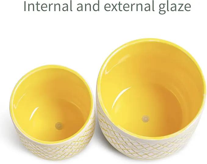 Ceramic Plant Pots, 6 + 4.7 inch Yellow Plant Pot, Flower Pots for Indoor Plants， Planter with Drainage Hole for Succulent Orchid Snake Plants Cactus by GreenHaven Gardens