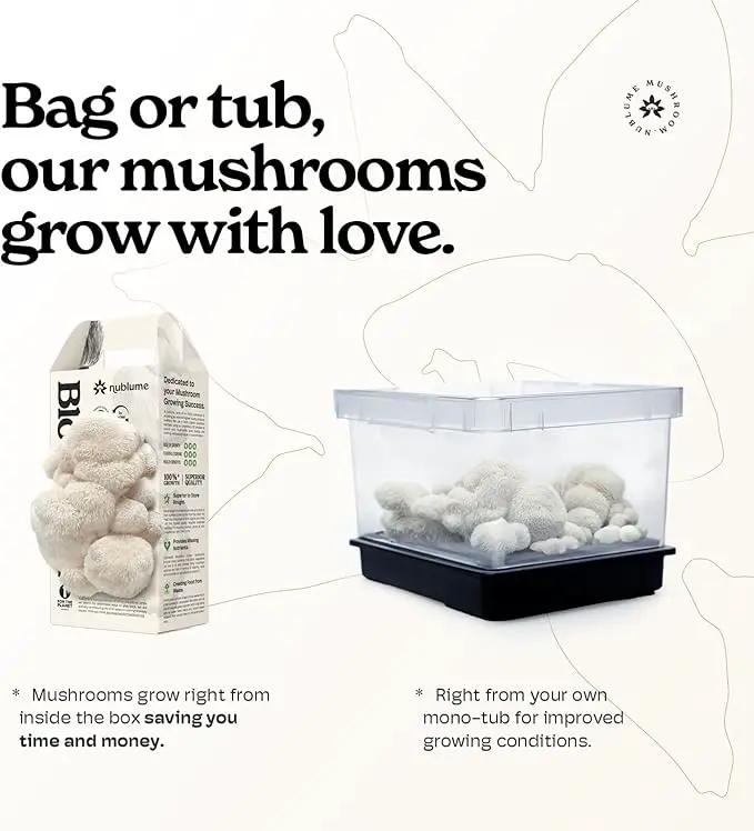 Lion's Mane Mushroom Grow Kit | Grow Your Own Fresh Gourmet Mushrooms at Home | Edible Indoor Mushroom Growing Kits Great Gift by GreenHaven Gardens
