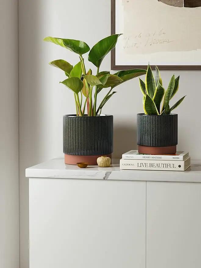 LE TAUCI Ceramic Plant Pots with Drainage Holes, Set of 3, 8+6.7+5.5 Inch Stripe Garden Planter Pots for Outdoor Indoor Plants Flower, Round Succulent Orchid Flower Pot, Reactive Glaze Black by GreenHaven Gardens