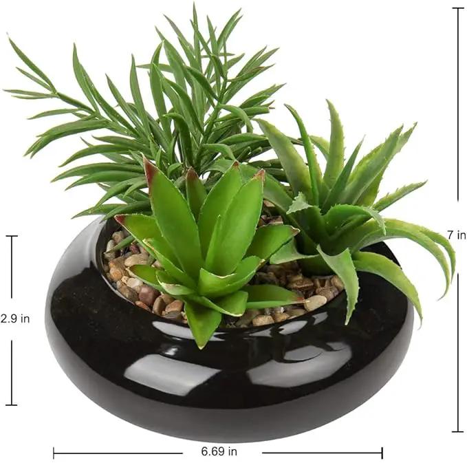 Hollyone Large Artificial Succulents Plants Faux Succulents in Pots Fake Succulent Potted Plants with Black Ceramic Pot for Home Decor Office Desk Bathroom Living Room Indoor & Outdoor Decorations by GreenHaven Gardens