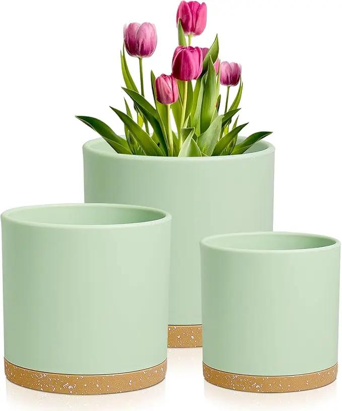 8/7/6 inch Plant Pots, 3 Pack Cylinder Flower Pots for Outdoor Indoor Plants, Decorative Plastic Planters with Drainage Holes and Saucers for Garden House Plants, Green with Brown by GreenHaven Gardens