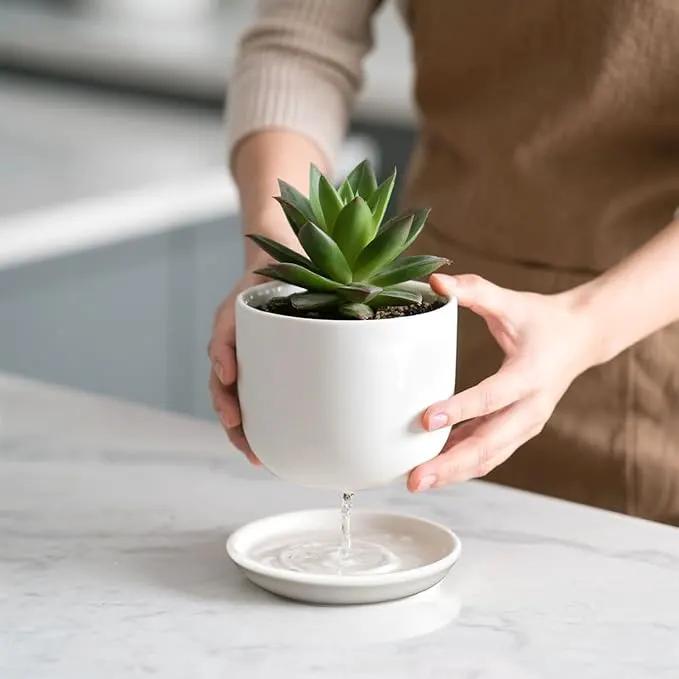 6.7 + 5.5 Inch Plant Pot, Ceramic Planter with Drainage and Saucer, Ceramic Pots for Plants, Indoor Plant pots,Succulent Pot Orchid Pots(Smooth White,Plant Pot Only) by GreenHaven Gardens