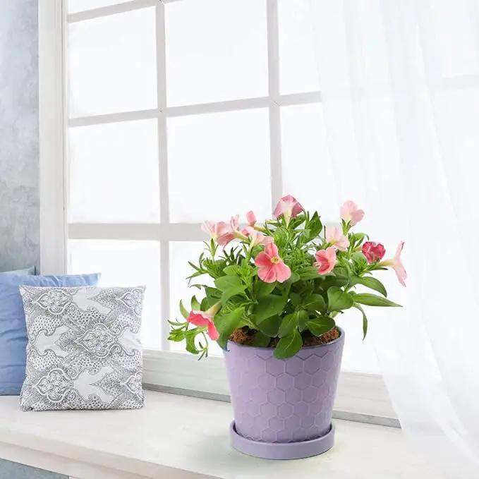 EFISPSS Flower Planter –5 inch Ceramic Plant Pots with Drainage Holes and Ceramic Tray - Gardening Home Desktop Office Windowsill Decoration Gift Set of 4 - Purple by GreenHaven Gardens