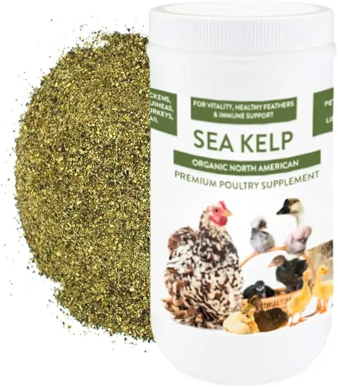 Organic Kelp for Chickens & Duck Feed (1 Pound): Chicken Vitamins | Chicken Supplements | Vitamins for Chickens | Pampered Chicken Mama by GreenHaven Gardens