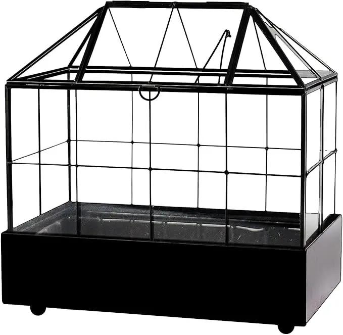 Large Tall Plant Terrarium Glass Greenhouse with Lid and Tray, Indoor Tabletop Orchid Succulent Cacti Kit 9.5'X9.8'X5.6' by GreenHaven Gardens