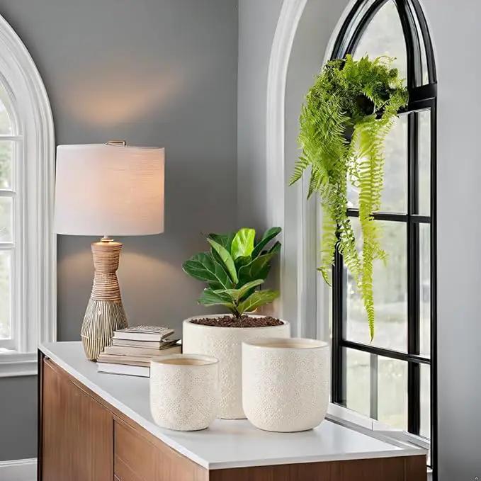 Docrin Ceramic Plant Pots Indoor：6.5+5.3+4 Inch Planters with Drainage Holes for Home /Office - Set of 3 / White by GreenHaven Gardens