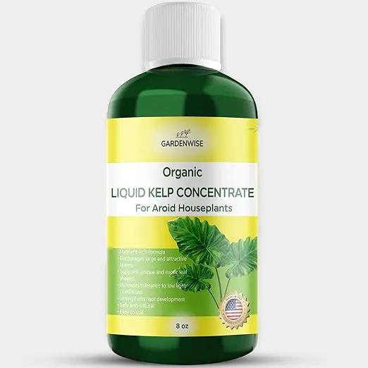 Organic Premium Seaweed Fertilizer - Liquid Kelp Plant Food for Aroid Houseplants: Monstera, Philodendron, Pothos, ZZ Plant, Dieffenbachia, Alocasia, Caladium (8 OZ) by GreenHaven Gardens