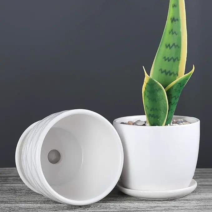 Plant Pots - 4.7 Inch Cylinder Ceramic Planters with Connected Saucer, Pots for Succuelnt and Little Snake Plants, Set of 4, White by GreenHaven Gardens