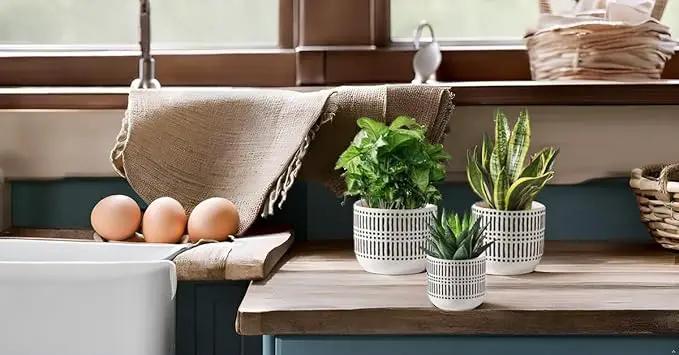 Docrin Plant Pots Ceramic: 6.5+5.3+4 Inch Flower Pots with Drainage Holes for Home/Office - Set of 3/White and Black by GreenHaven Gardens