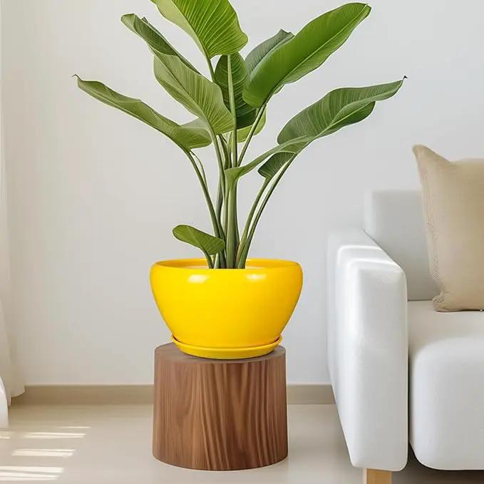 Indoor Planter 11 Inch - Decorative Mid-Century Large Ceramic Plant Pot for Outdoor Plants with Drainage Hole and Saucer, Home Balcony House Garden Patio Office Room Decor, Yellow by GreenHaven Gardens