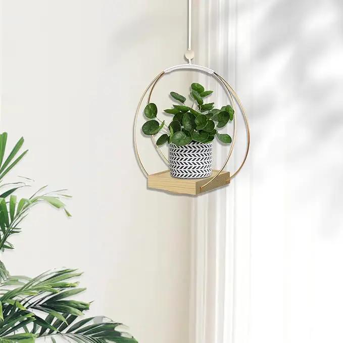Hanging Planters for Indoor Plants, Plant Hanger with Sturdy Wood Base,Modern Boho Macrame Plant Hanger,Wall Ceiling Window Stands(Plants/Pots Not Included) by GreenHaven Gardens