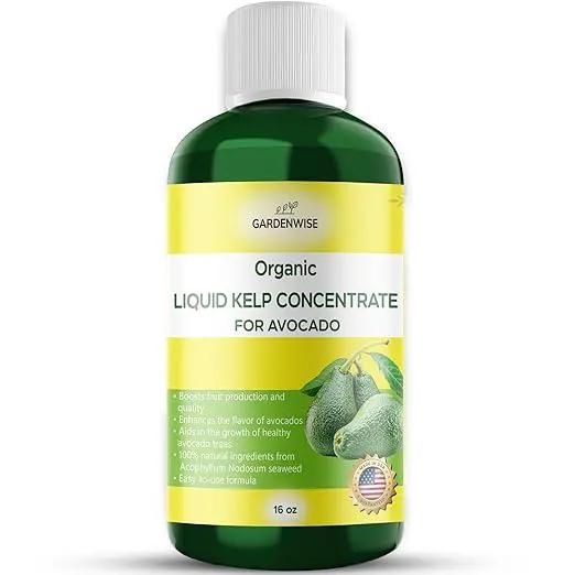 Organic Premium Kelp Seaweed Fertilizer - Liquid Plant Food - Nutrient-Rich Soil Enhancer - Improves Fruit Yield and Quality - Natural Plant Food for Avocado Tree (16 OZ) by GreenHaven Gardens