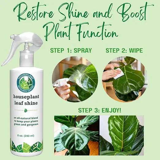 Houseplant Leaf Shine Spray – All-Natural Leaf Cleaner and Gloss for Healthy Shine & Better Photosynthesis | Perfect for House Plants and Foliage | 8 oz by GreenHaven Gardens