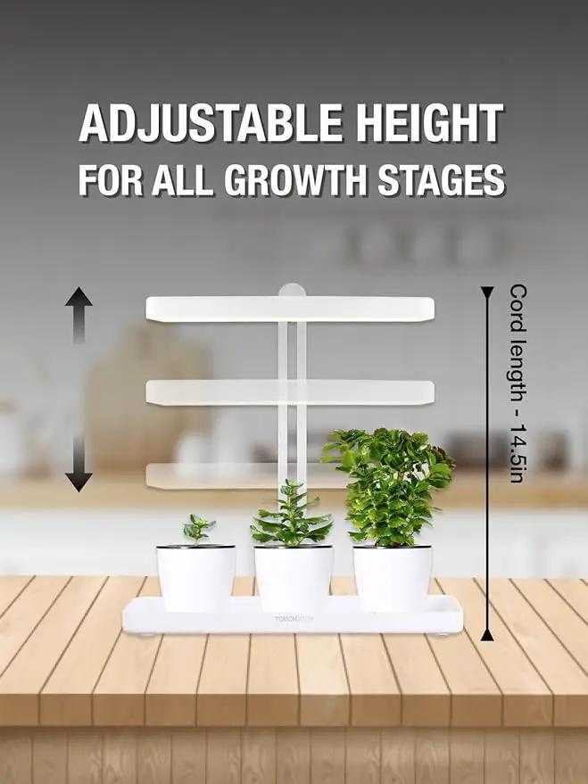 TORCHSTAR Indoor Herb Garden with LED Grow Light, Height Adjustable, 20W Growing System with Automatic Timer, CRI 95+, Full Spectrum Plant Light for Seeds, Vegetation, Home, White, No Pots or Plants by GreenHaven Gardens