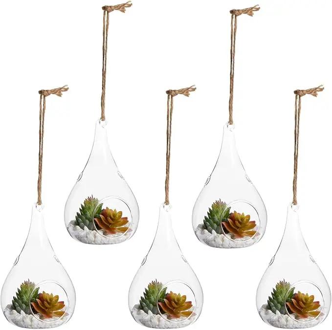 Juvale 5-Pack Hanging Glass Terrarium Containers - Air Plant Holder, Succulent Planter, Tea Light Candle Hangers (3.5x5 in) by GreenHaven Gardens