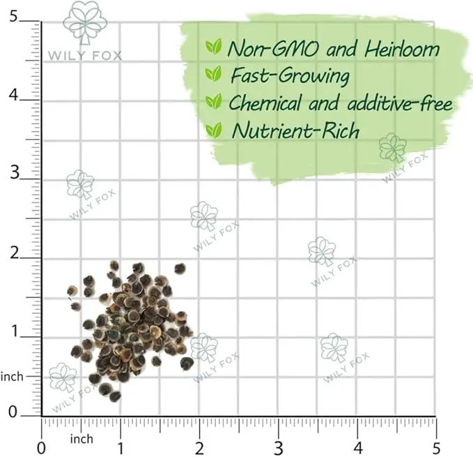 Premium Rare Hollyhock Seeds – 100+ Double Red Hollyhock Flower Seeds – Non-GMO, Heirloom Perennial – Showy Blooms for Outdoor Planting (Dwarf Double Red Hollyhock) by GreenHaven Gardens