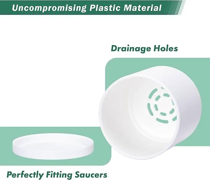 D'vine Dev 4 Pack 4 Inch Modern Plastic Plant Pots, Small Garden Planters for Plant with Drainage Holes and Saucers, White Color, 74-Z-E-2 by GreenHaven Gardens