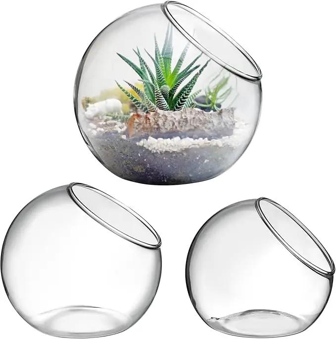 Mipcase 3 Pcs Plant Terrarium Plant Holder Terrarium Air Plant, 3 Round Glass Vase for Succulents, Clear Bubble Planter for Home Decor, Oblique Opening Glass Bowls Succulent Orbs Mini Tank by GreenHaven Gardens