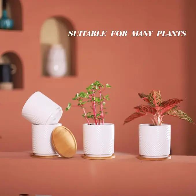 5.25 Inch Ceramic Planter Pot for Indoor Plants with Drainage Holes, Geometry Design White Flower Planter Pots with Bamboo Saucer, for Succulent, Snake Plants, Cactus & Herbs, Set of 4 by GreenHaven Gardens