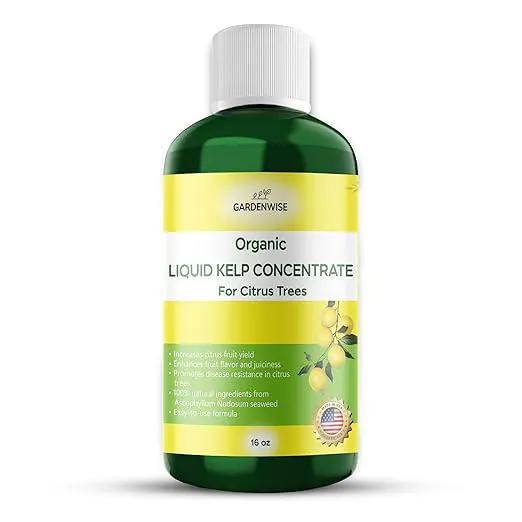 Organic Premium Kelp Seaweed Fertilizer: All-in-One Citrus Tree Fertilizer for Meyer Lemon, Lime, and Other Fruiting Trees - Liquid Plant Food for Potted & Outdoor Citrus Trees (16 OZ) by GreenHaven Gardens
