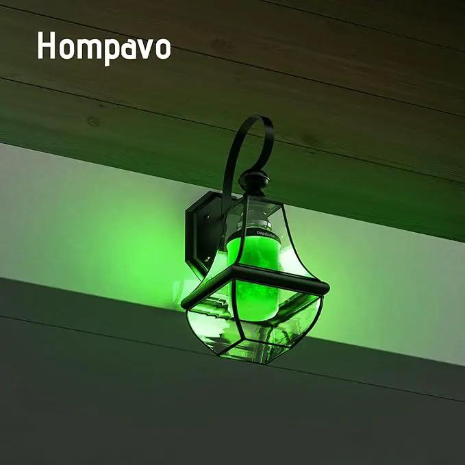 Hompavo 【Upgraded】 LED Flame Light Bulbs, Green Flickering Light Bulbs with Upside Down Effect, E26 Flame Bulb for Home Halloween St. Patrick's Day Christmas Decorations Indoor & Outdoor, 2 Pack by GreenHaven Gardens