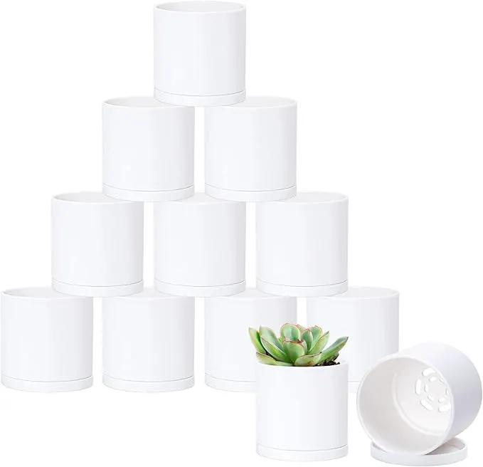 D'vine Dev 12 Pack 3 Inch Mini Plastic Plant Pots, Small Garden Planters for Plant with Drainage Holes and Saucers, White Color, 74-Z-C-4 by GreenHaven Gardens