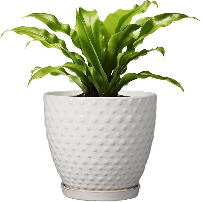 G EPGardening 8 Inch Plant Pot for Indoor Outdoor Plants Round Ceramic Planter Pot with Drainage Hole and Saucer Modern Large Flower Pot White by GreenHaven Gardens