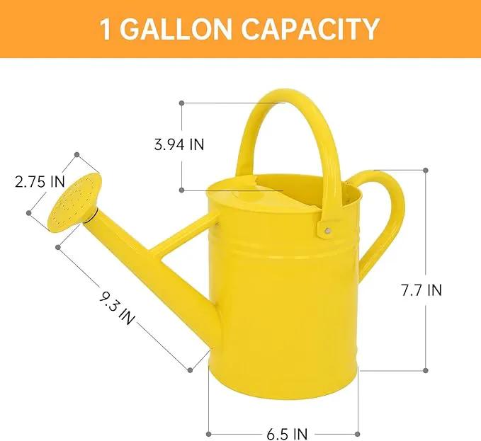 Metal Watering Can for Outdoor Plants, Galvanized Steel Watering Can with Removable spout, 1 Gallon,Perfect Home & Garden Décor Yellow by GreenHaven Gardens