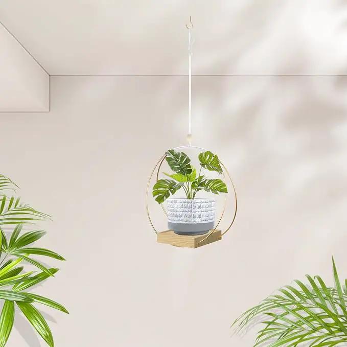 Hanging Planters for Indoor Plants, Plant Hanger with Sturdy Wood Base,Modern Boho Macrame Plant Hanger,Wall Ceiling Window Stands(Plants/Pots Not Included) by GreenHaven Gardens