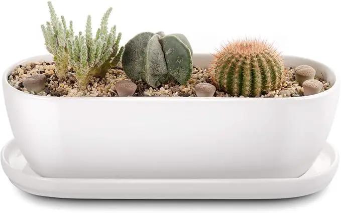 Oval Ceramic Planter Pot with Drainage Hole Saucers 11 Inch Succulents Planter Home Decor for Indoor Outdoor Plants Herb Cactus with 3 Mesh Pads, Plants Not Included by GreenHaven Gardens