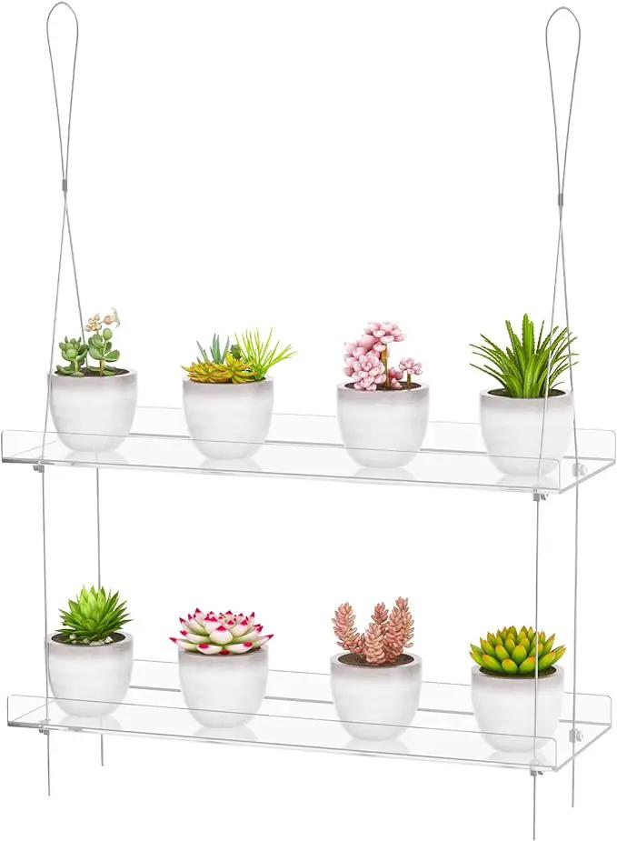 2-Tier Clear Hanging Window Plant Shelves 16inch,Indoor Windows Wall Hanging Plant Stand Flower Display,Flower Pot Organizer Storage for Window Grow Herbs,Microgreens,Succulents,Flower by GreenHaven Gardens